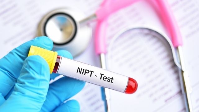 Read more about the article What is NIPT Test: Everything You Need To Know